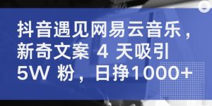 抖音遇见网易云音乐，新奇文案 4 天吸引 5W 粉，日挣1000+【揭秘】-水滴知识网