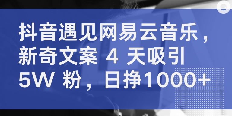 抖音遇见网易云音乐,新奇文案 4 天吸引 5W 粉,日挣1000+【揭秘】-水滴知识网