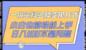 一份资料多种变现方式,小白也能轻松上手,日入800不是问题【揭秘】-水滴知识网