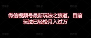 微信视频号最新玩法之狼道,目前玩法已轻松月入过万【揭秘】-水滴知识网