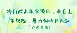 冷门成人识字项目，小白上手轻松，暴力创收月入5w+【揭秘】-水滴知识网
