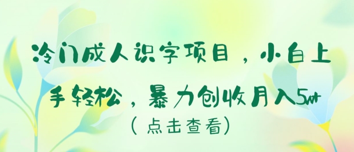 冷门成人识字项目,小白上手轻松,暴力创收月入5w+【揭秘】-水滴知识网
