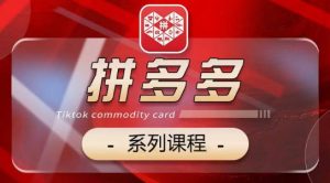 2024拼多多系列课,【基础】【运营】【活动】【推广】【玩法】5大模块-水滴知识网
