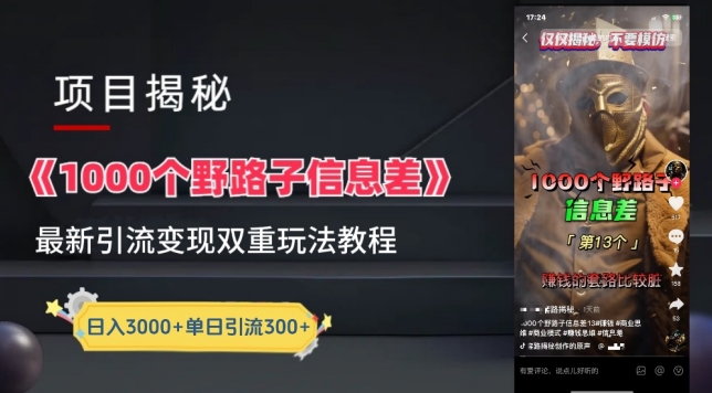 一千个野路子信息差最新玩法教程-变现+引流的玩法具体拆解【揭秘】-水滴知识网