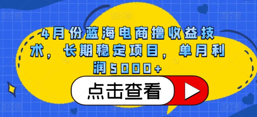4月份蓝海电商撸收益技术，长期稳定项目，单月利润5000+【揭秘】-水滴知识网