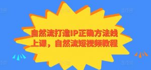 自然流打造IP正确方法线上课，自然流短视频教程-水滴知识网