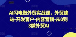 AI闪电做外贸实战课,外贸建站-开发客户-内容营销-从0到3做外贸AI-水滴知识网