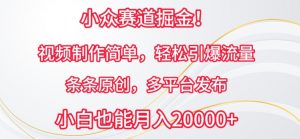 小众赛道掘金，视频制作简单，轻松引爆流量，条条原创，多平台发布【揭秘】-水滴知识网