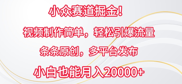 小众赛道掘金,视频制作简单,轻松引爆流量,条条原创,多平台发布【揭秘】-水滴知识网