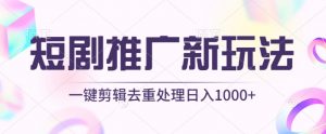 短剧推广新玩法，不剪辑，工具助力一键过原创，日入1000+【揭秘】-水滴知识网