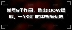 新号5个作品,跑出100W播放,一个冷门的中视频玩法【揭秘】-水滴知识网