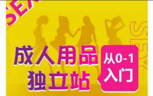 成人用品独立站从0-1入门,成品独立站运营全流程教学,七大好卖成品独立站推荐-水滴知识网