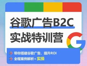 谷歌广告B2C实战特训营,500+谷歌账户总结经验,实战演示如何从0-1搭建广告账户-水滴知识网