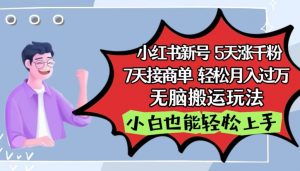 小红书影视泥巴追剧5天涨千粉,7天接商单,轻松月入过万,无脑搬运玩法【揭秘】-水滴知识网