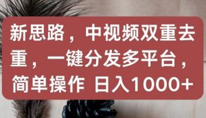 新思路，中视频双重去重，一键分发多平台，简单操作，日入1000+【揭秘】-水滴知识网