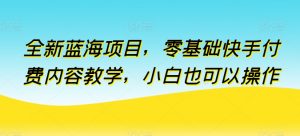 全新蓝海项目，零基础快手付费内容教学，小白也可以操作【揭秘】-水滴知识网