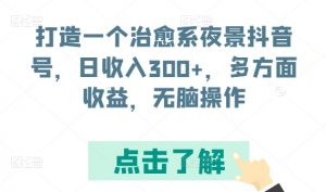 打造一个治愈系夜景抖音号，日收入300+，多方面收益，无脑操作【揭秘】-水滴知识网