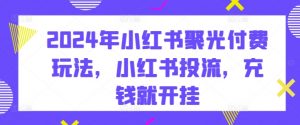 2024年小红书聚光付费玩法,小红书投流,充钱就开挂-水滴知识网