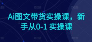 Ai图文带货实操课，新手从0-1 实操课-水滴知识网