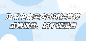 淘系电商全店动销经营模式特训营,线下课录音-水滴知识网
