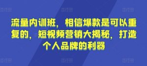 流量内训班,相信爆款是可以重复的,短视频营销大揭秘,打造个人品牌的利器-水滴知识网