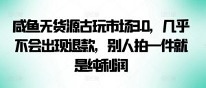 咸鱼无货源古玩市场3.0，几乎不会出现退款，别人拍一件就是纯利润【揭秘】-水滴知识网