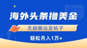 海外头条撸美金，无脑搬运发帖子，月入1万+，小白轻松掌握【揭秘】-水滴知识网