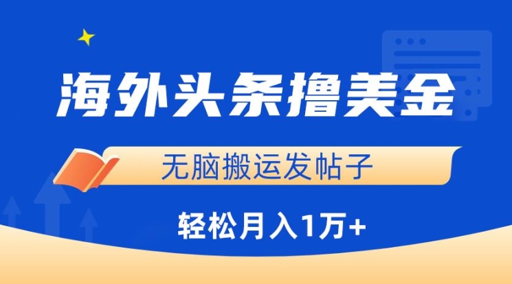 海外头条撸美金，无脑搬运发帖子，月入1万+，小白轻松掌握【揭秘】-水滴知识网