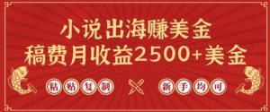 小说出海赚美金,稿费月收益2500+美金,仅需chatgpt粘贴复制,新手也能玩转【揭秘】-水滴知识网