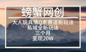 大人玩具情Q用品赛道私域全新玩法,三个月变现20W,老项目新思路【揭秘】-水滴知识网