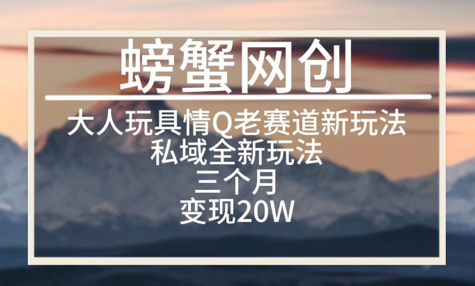 大人玩具情Q用品赛道私域全新玩法,三个月变现20W,老项目新思路【揭秘】-水滴知识网