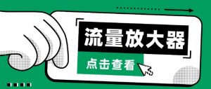 流量放大器,抖音公私域变现+soul私域轰炸器【揭秘】-水滴知识网