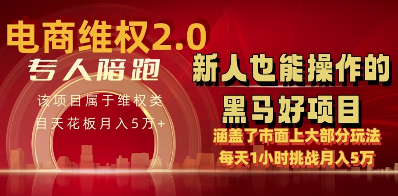 电商维权 4.0 如何做到月入 5 万+每天 1 小时新人也能快速上手【仅揭秘】-水滴知识网