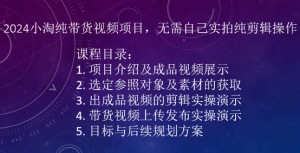 2024小淘纯带货视频项目,无需自己实拍纯剪辑操作-水滴知识网