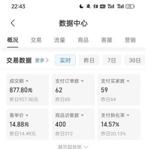 拼多多虚拟U盘电商红利项目:月赚2万+,新手小白也能玩-水滴知识网
