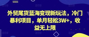 外贸尾货蓝海变现新玩法,冷门暴利项目,单月轻松3W+,收益无上限【揭秘】-水滴知识网