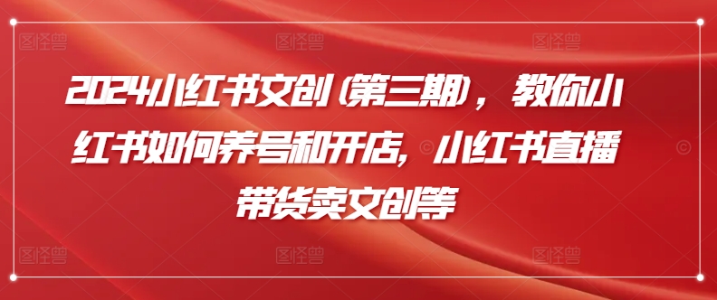 2024小红书文创(第三期),教你小红书如何养号和开店,小红书直播带货卖文创等-水滴知识网