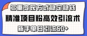 精准项目粉高效引流术，新手单日引流50+，多重变现方式稳定赚钱【揭秘】-水滴知识网