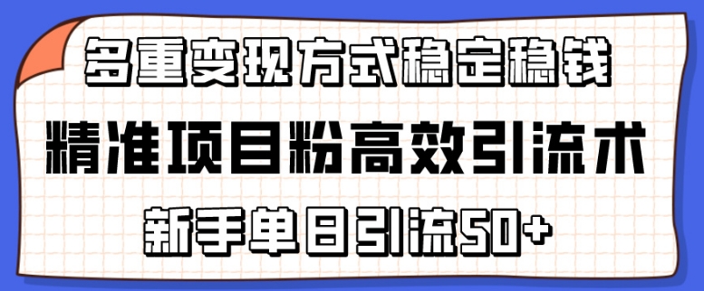 精准项目粉高效引流术，新手单日引流50+，多重变现方式稳定赚钱【揭秘】-水滴知识网