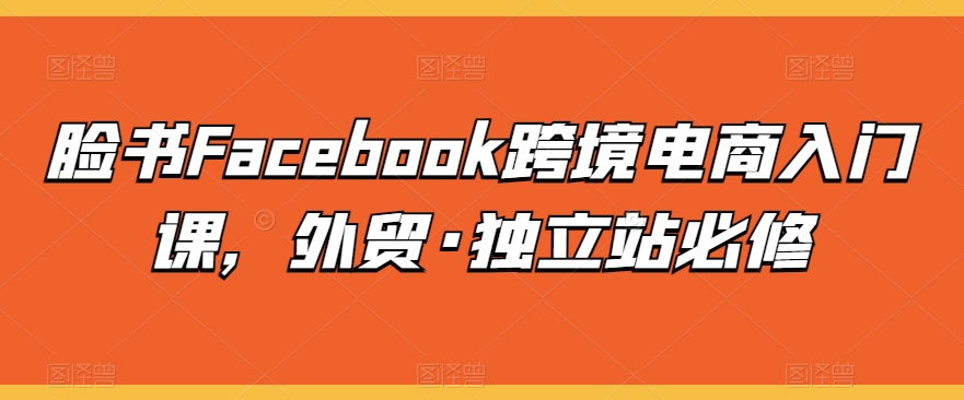 脸书Facebook跨境电商入门课，外贸·独立站必修-水滴知识网