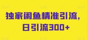 独家闲鱼精准引流，日引流300+【揭秘】-水滴知识网