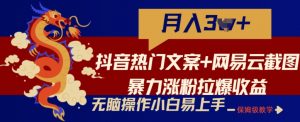 抖音热门文案+网易云截图暴力涨粉拉爆收益玩法，小白无脑操作，简单易上手【揭秘】-水滴知识网