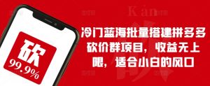 冷门蓝海批量搭建拼多多砍价群项目，收益无上限，适合小白的风口【揭秘】-水滴知识网