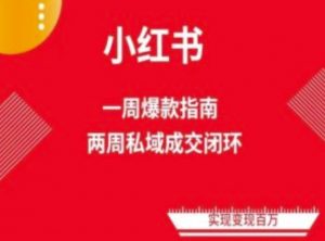 爆款小红书免费流量体系课程(两周变现),小红书电商教程-水滴知识网