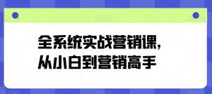 全系统实战营销课，从小白到营销高手-水滴知识网