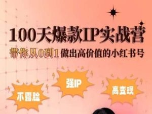 小红书100天爆款IP实战营,带你从0到1做出高价值的小红书号-水滴知识网