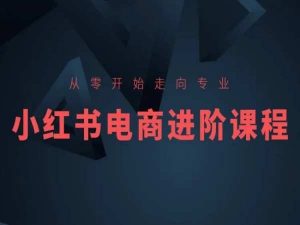 从零开始走向专业，小红书电商进阶课程-水滴知识网