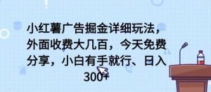 小红薯广告掘金详细玩法,外面收费大几百,小白有手就行,日入300+【揭秘】-水滴知识网