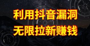 利用抖音链接漏洞，无限拉新赚钱【漏洞原理+操作流程】【揭秘】-水滴知识网