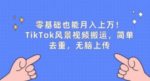 零基础也能月入上w,TikTok风景视频搬运,简单去重,无脑上传【揭秘】-水滴知识网